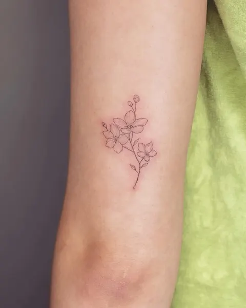 옴, Flower, 잎, 은행잎, 덩굴, 허브, 대나무