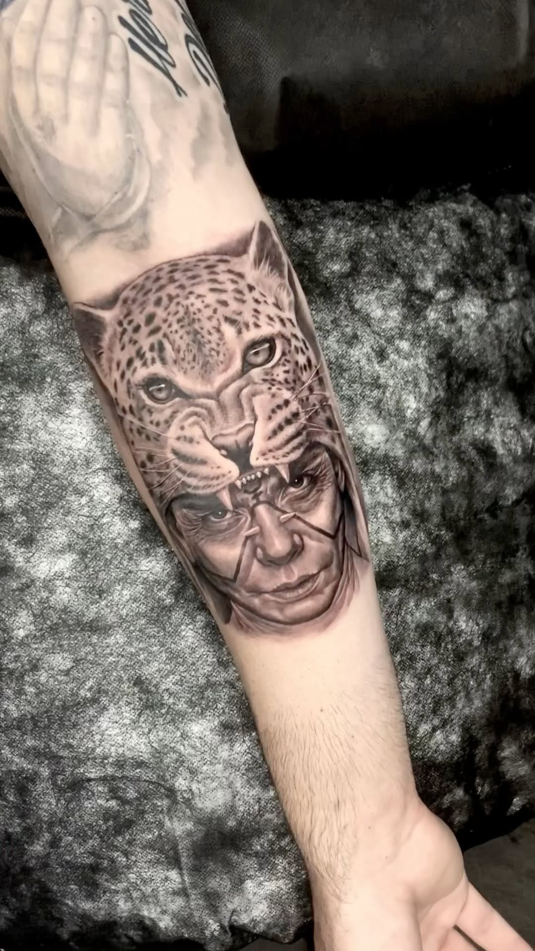 Tiger, Animal
