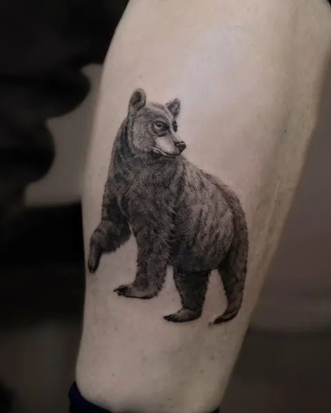 Animal, 곰, 너구리, 멧돼지, 코알라, 판다, 나무늘보