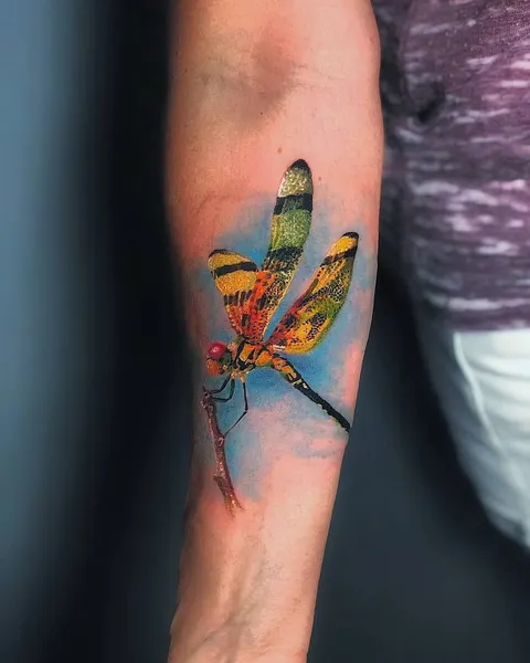 Animal, Nature, 잠자리