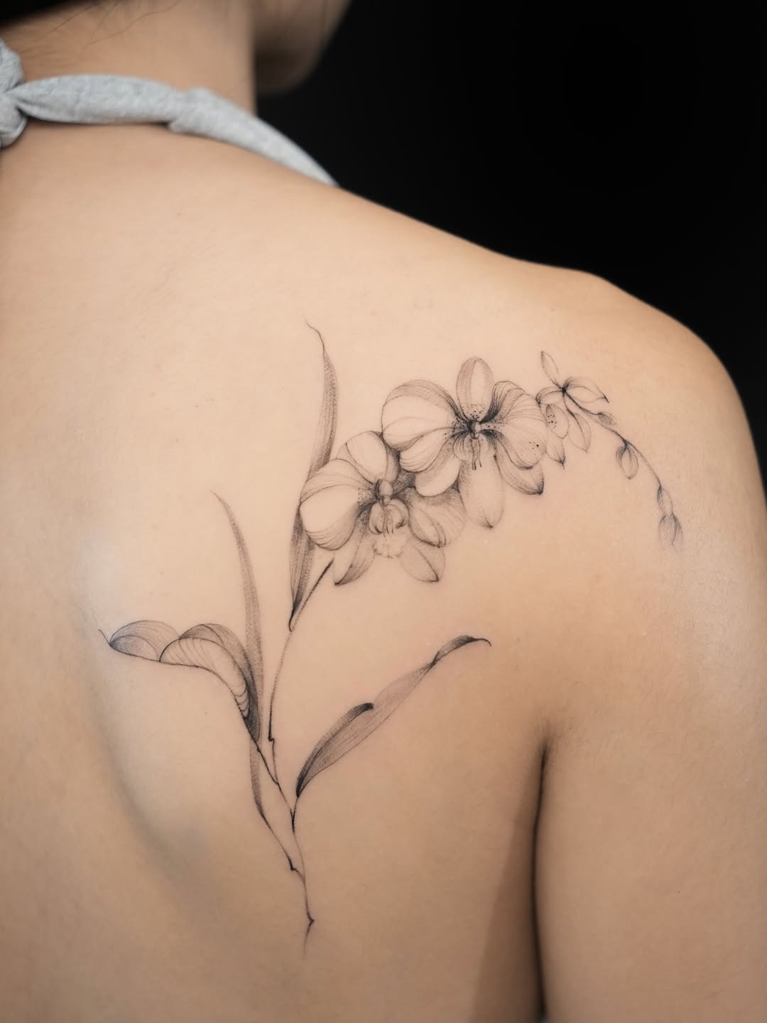 Flower, Nature