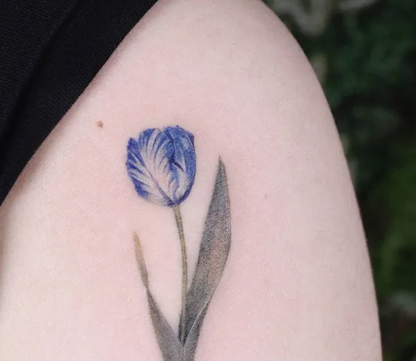 Flower, 백합, 튤립, 아이리스