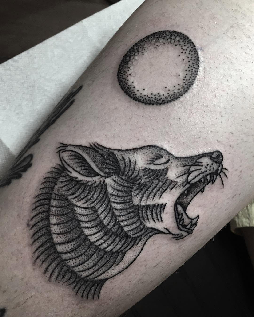 Animal, Tiger