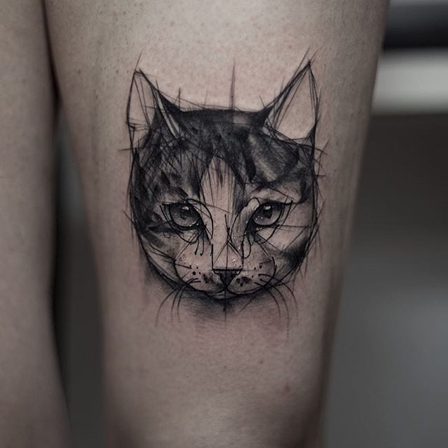 Animal, 여우 가면, 고양이