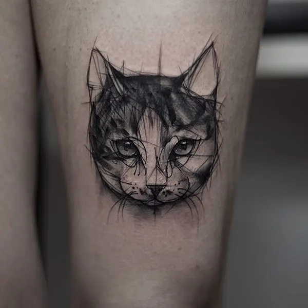 Animal, 여우 가면, 고양이