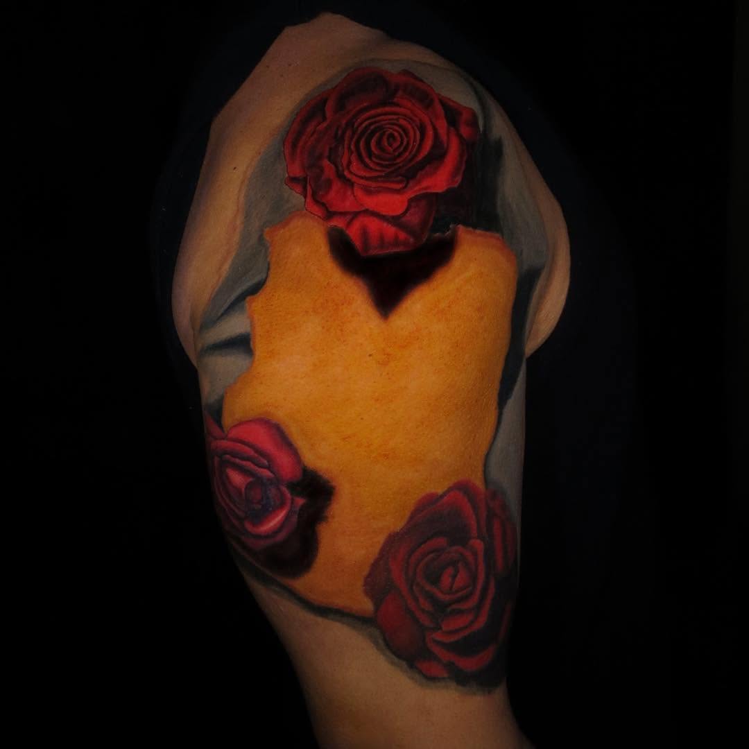 Flower, Rose, Nature