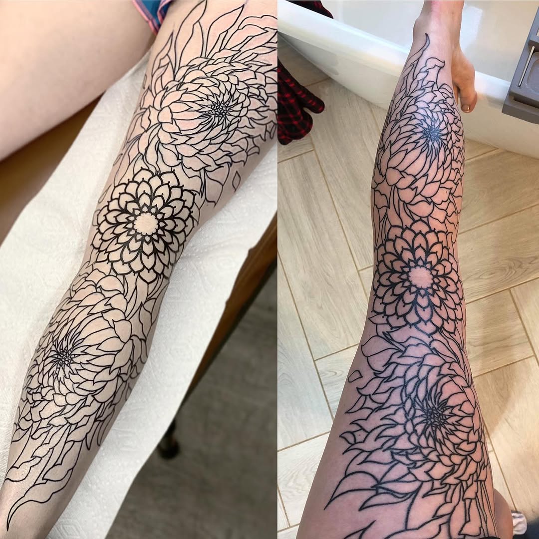 fullproof.bloom