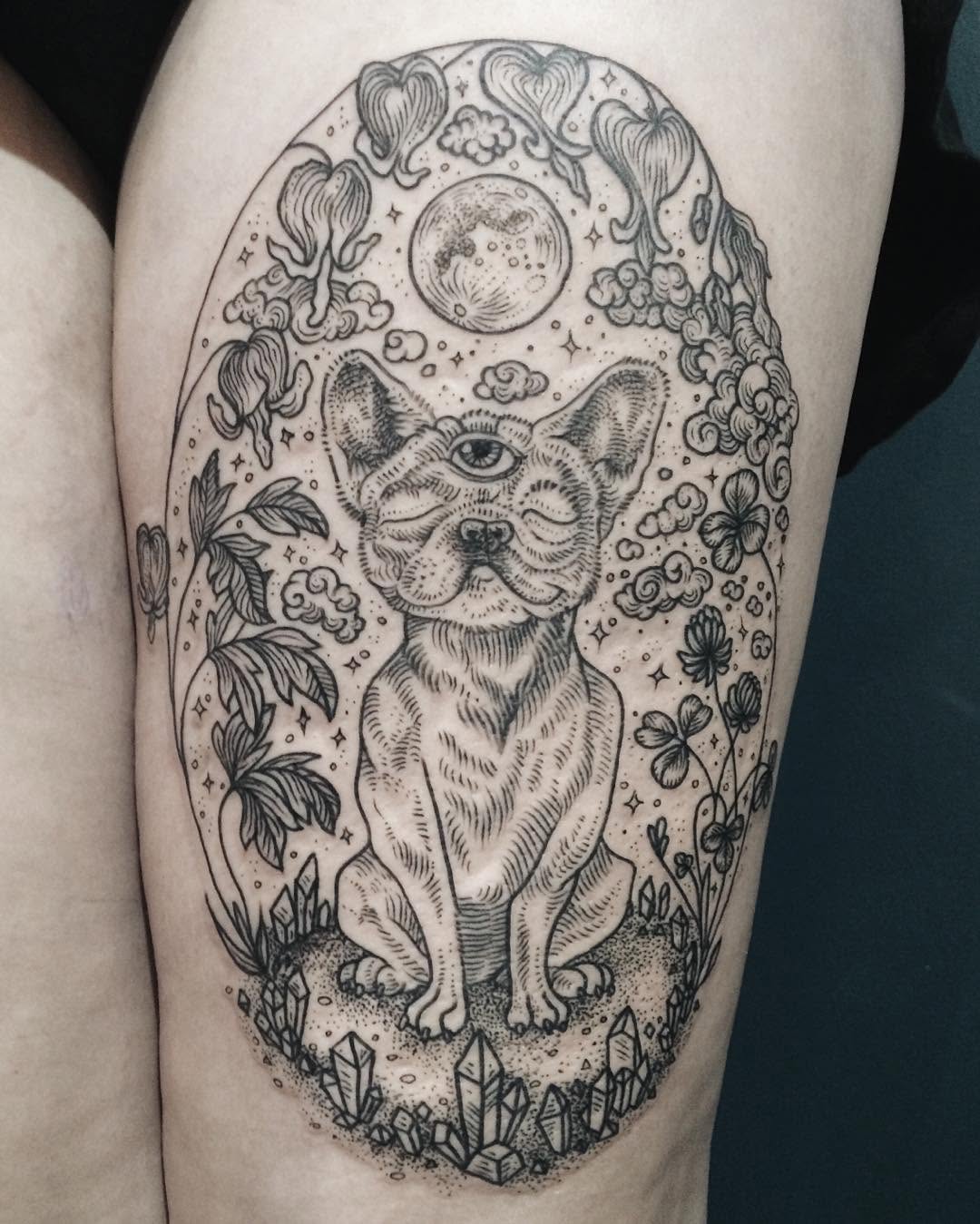 Animal