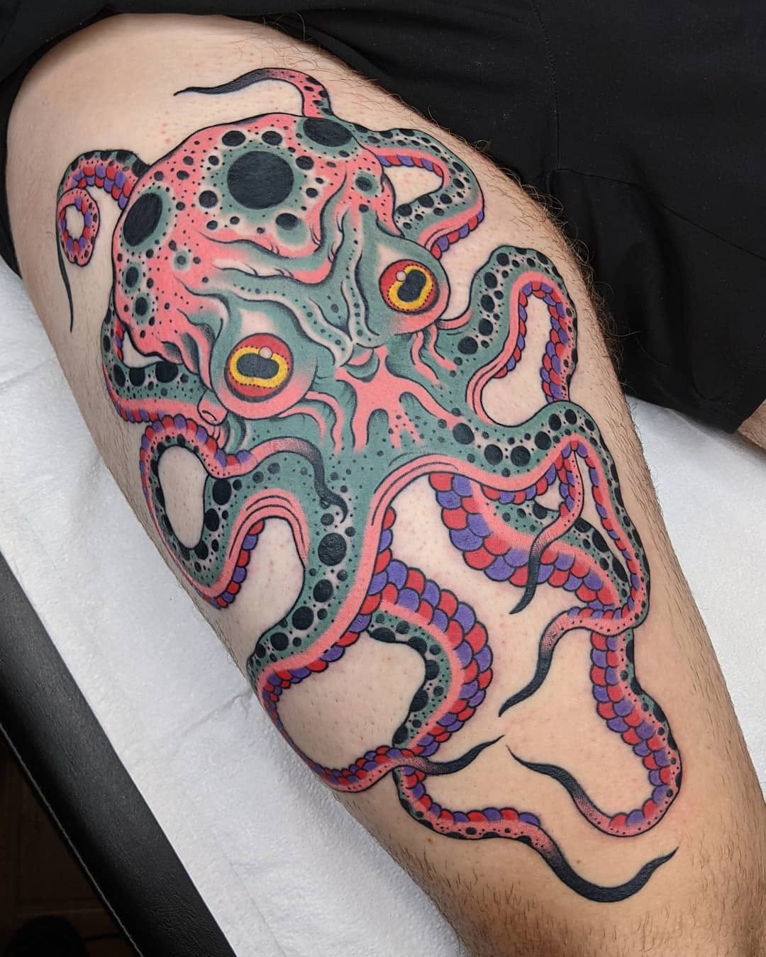 문어, Animal, 크라켄, 오징어