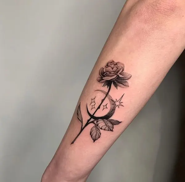 Flower, Rose
