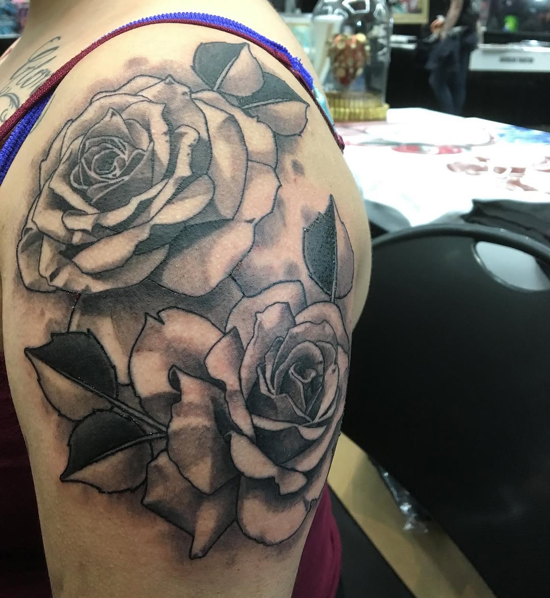 Flower, Rose, Nature