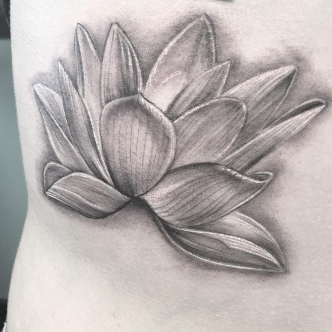 Flower, 연꽃, 한국 연꽃, 백합