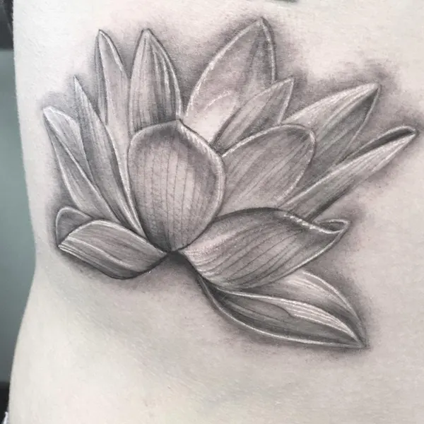 Flower, 연꽃, 한국 연꽃, 백합