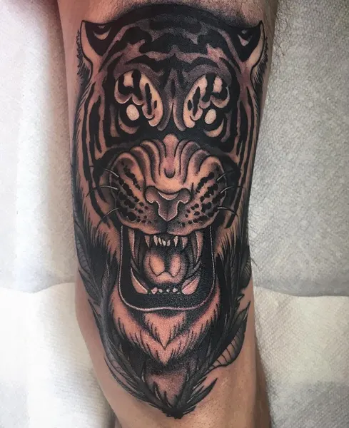 Tiger, 일본 호랑이, 한국 호랑이