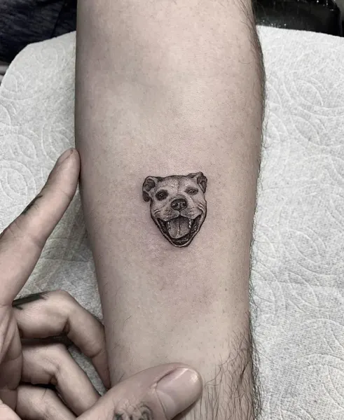 romeolacoste