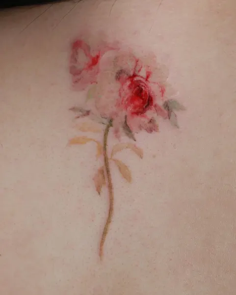 Flower, Rose, 벚꽃, 히비스커스