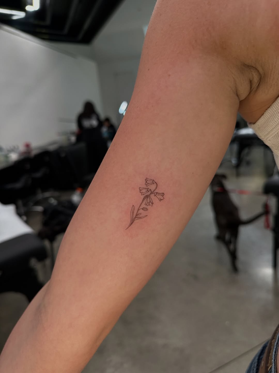 mnsantanatattoo