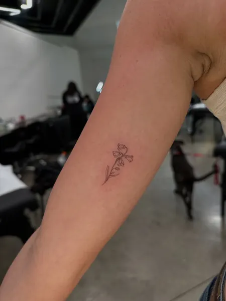mnsantanatattoo