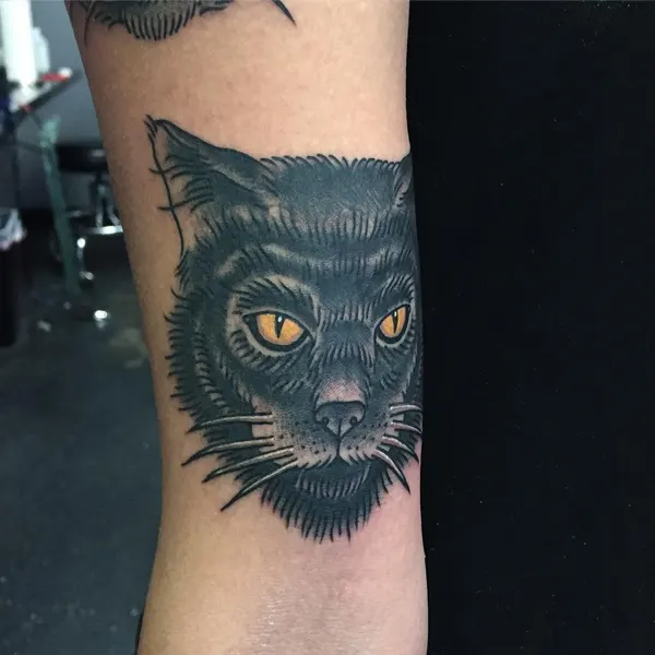Animal, Tiger, 팬서