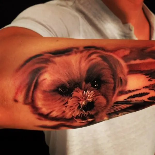Animal