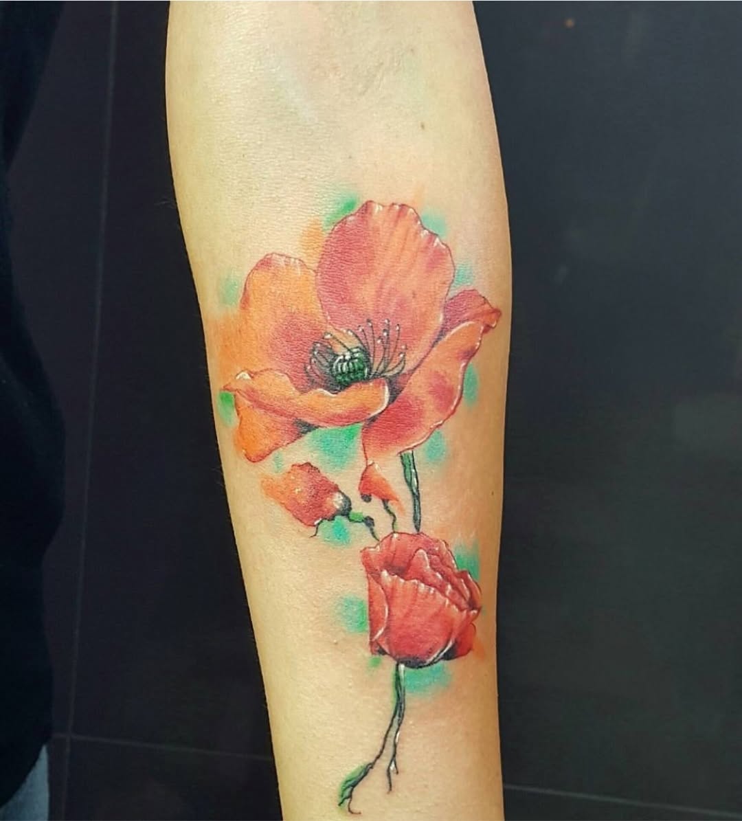 Flower, Rose, 양귀비