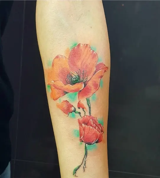 Flower, Rose, 양귀비