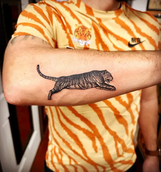 Tiger, 팬서