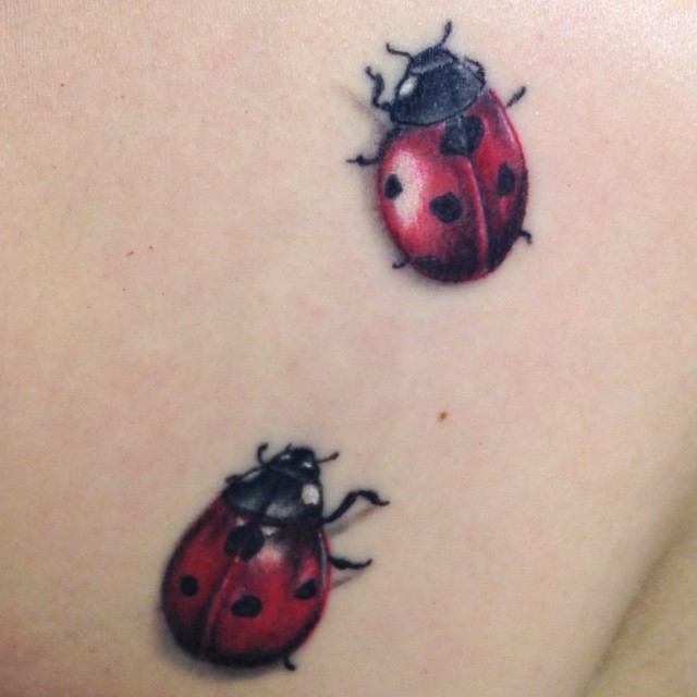 Mini, Flower, Animal, 무당벌레