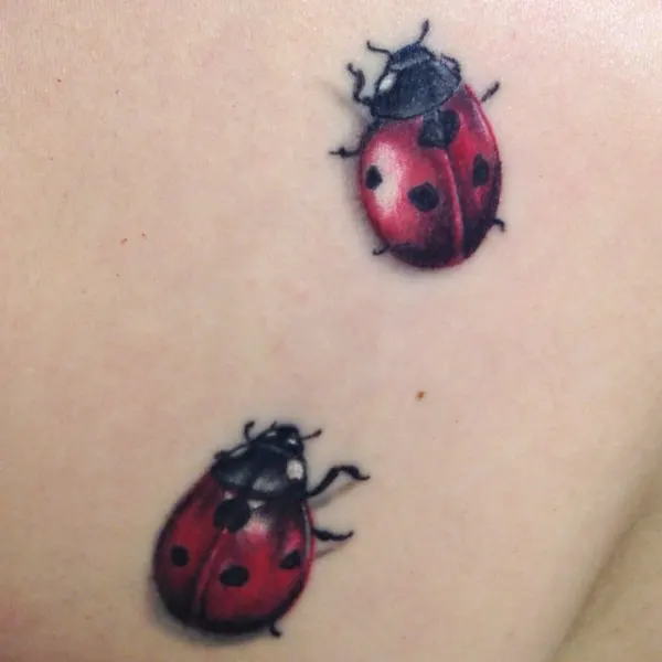 Mini, Flower, Animal, 무당벌레