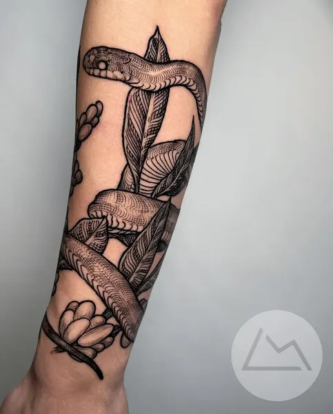 Dragon, Snake