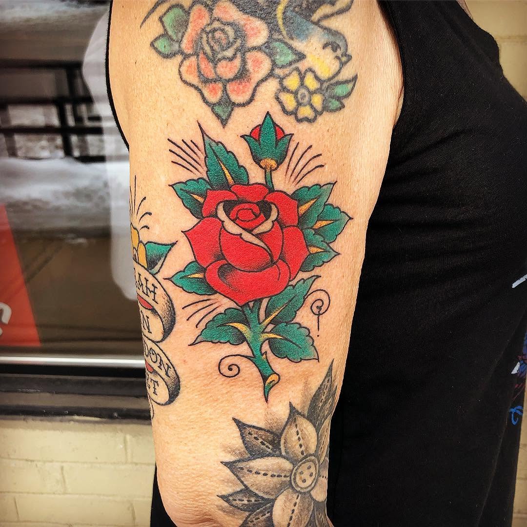 Flower, Rose, Nature