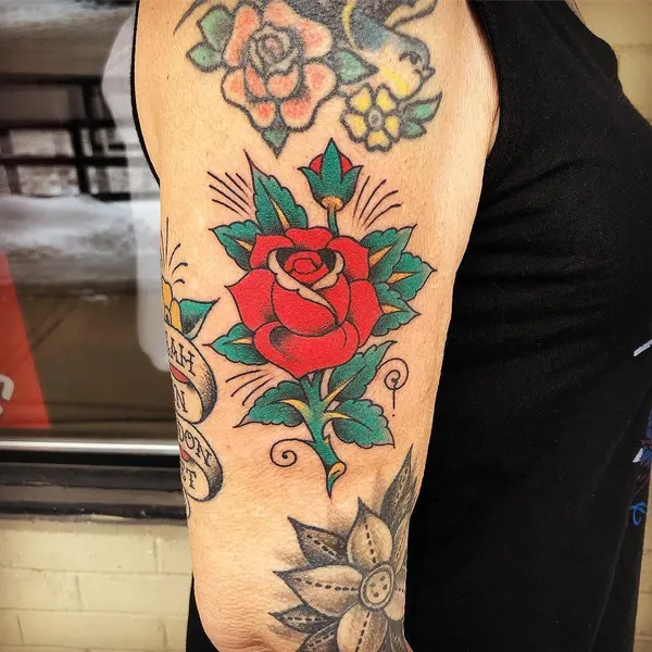 Flower, Rose, Nature