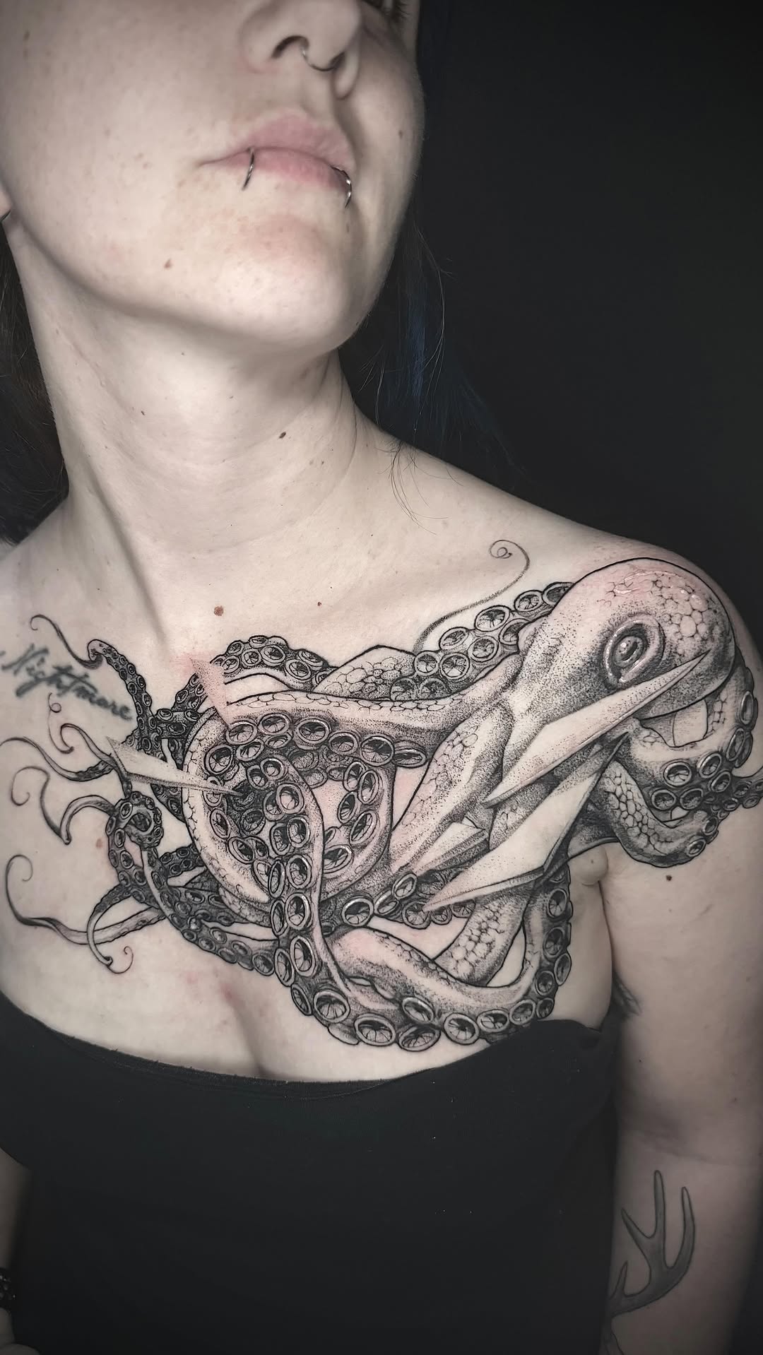 Animal, Dragon