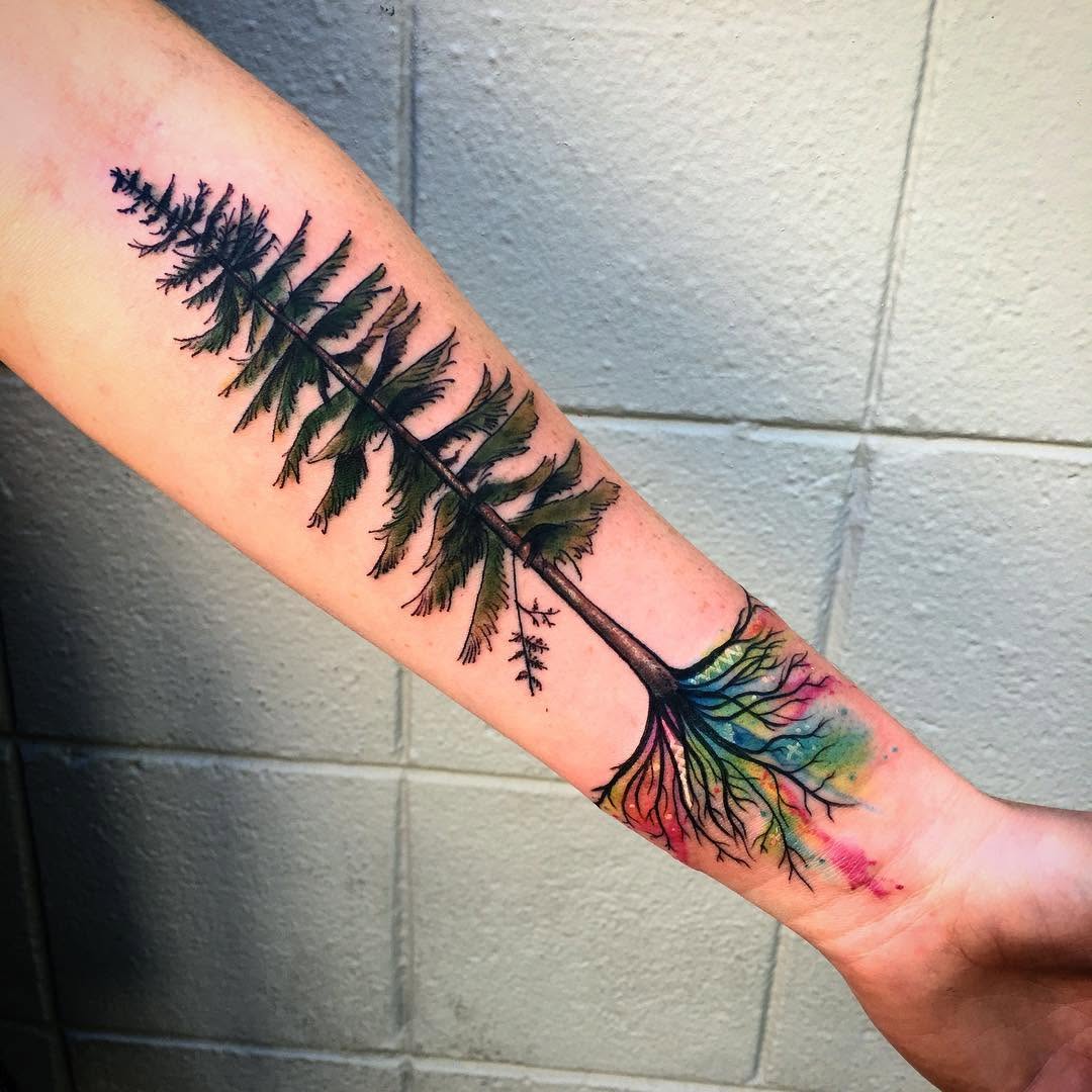 Nature, 야자수