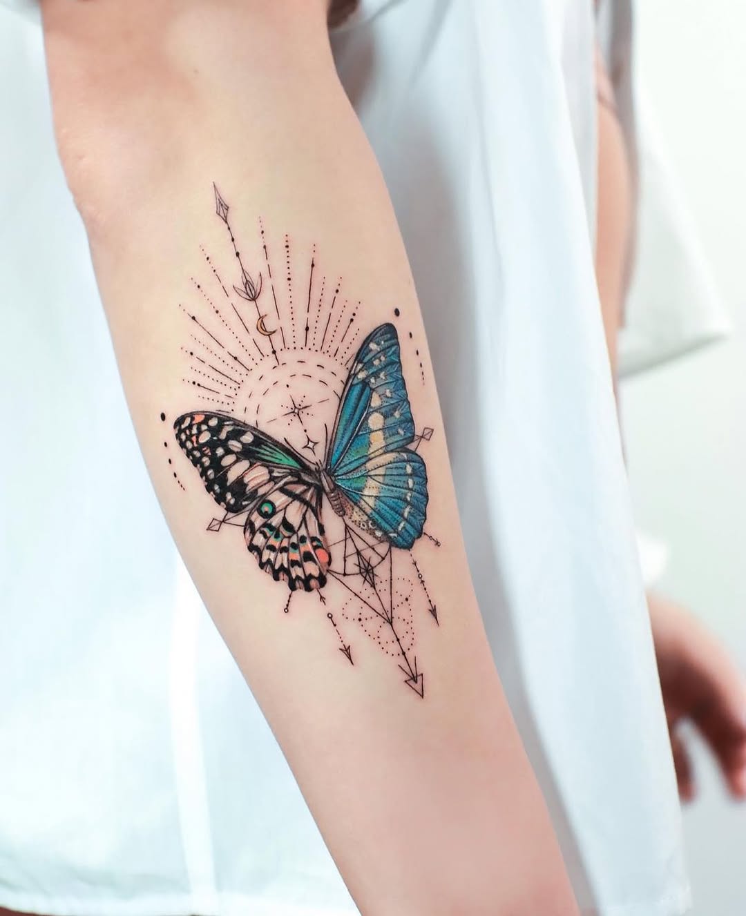 Animal, Nature