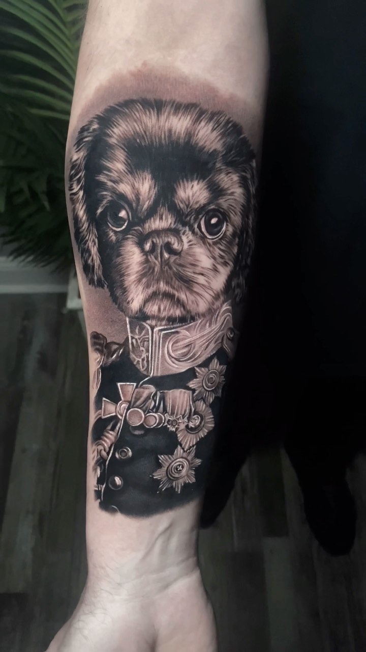 Animal