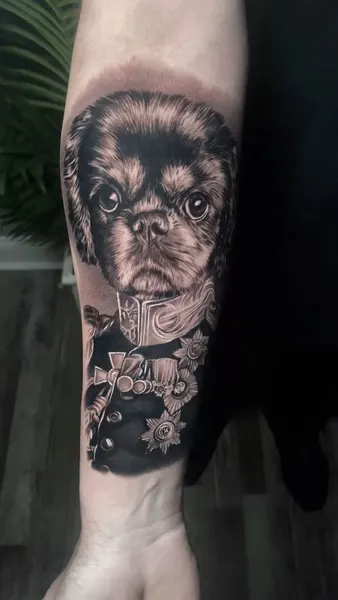 Animal