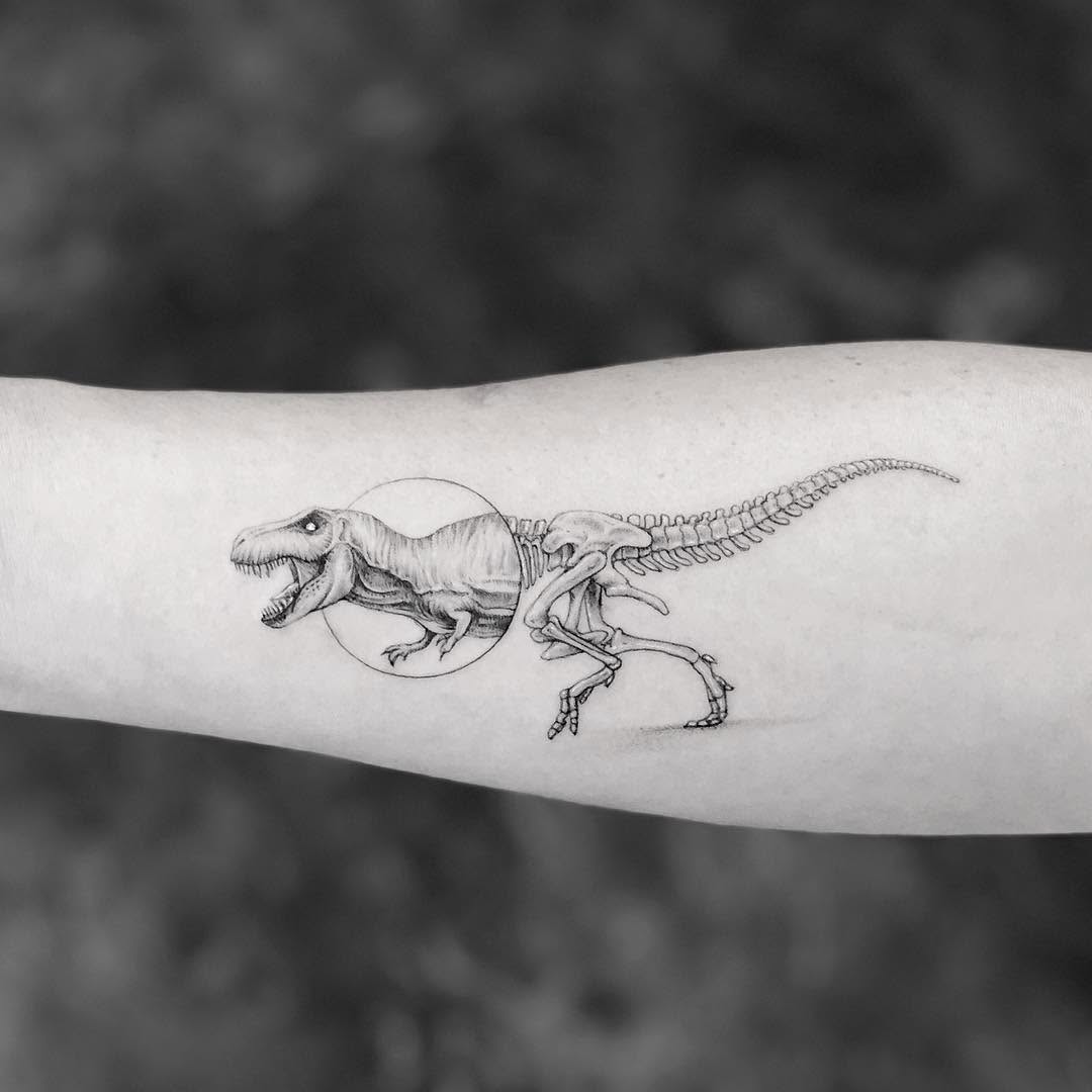 Dragon, 악어, 도마뱀