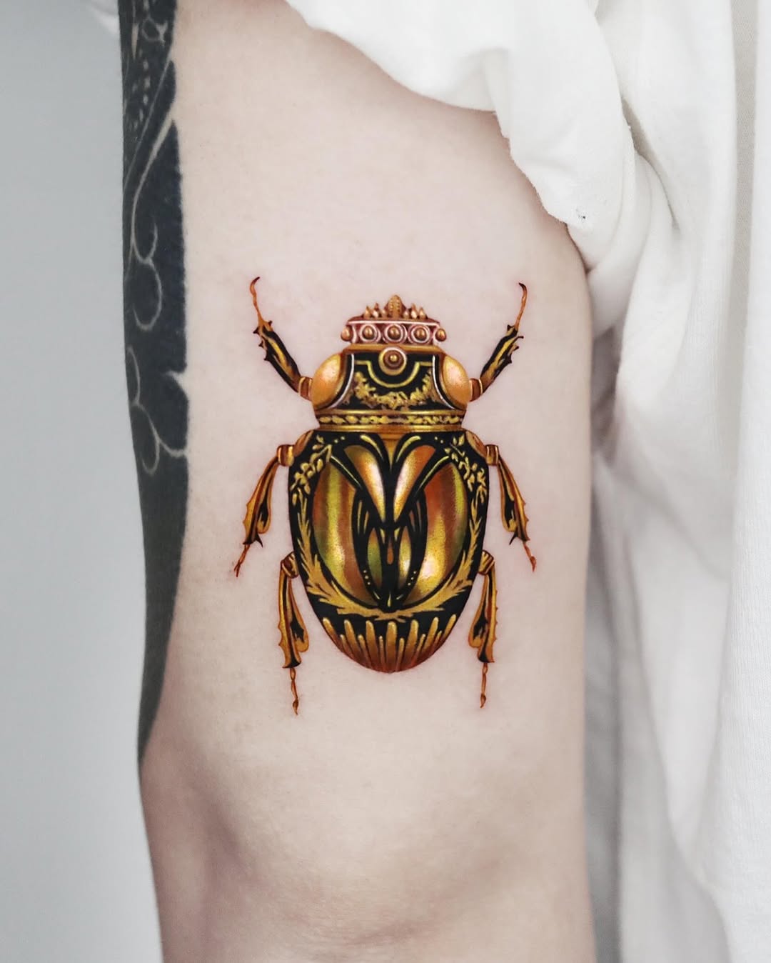 Animal, Nature, 잠자리