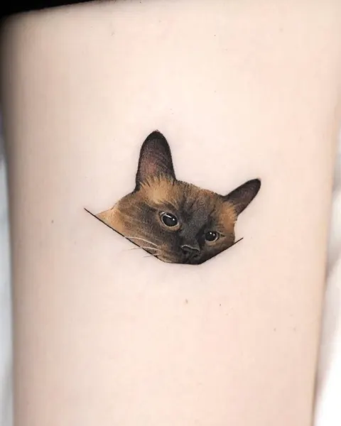 고양이
