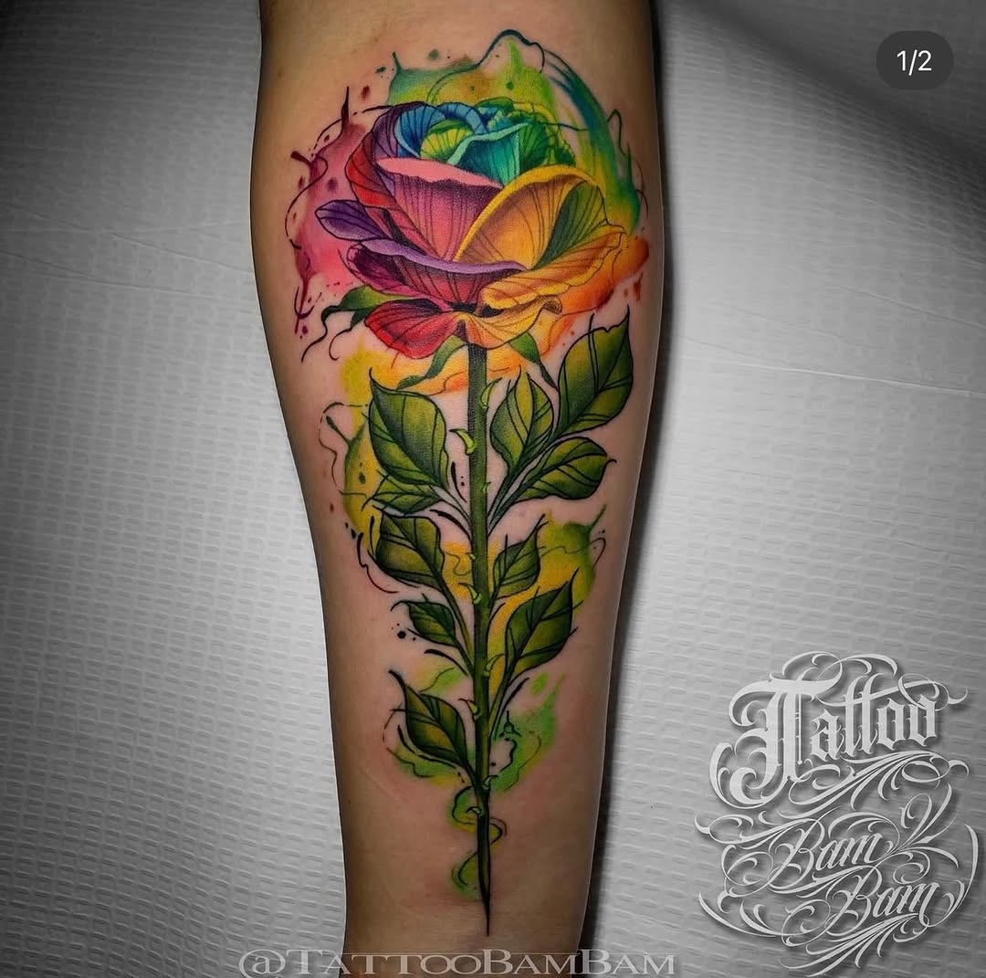 Flower, Rose