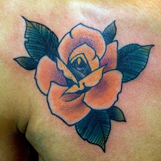Flower, Rose, Nature