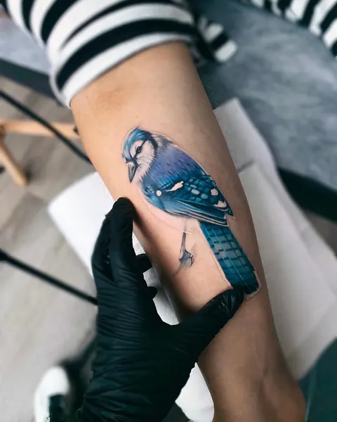 새, Animal, 앵무새