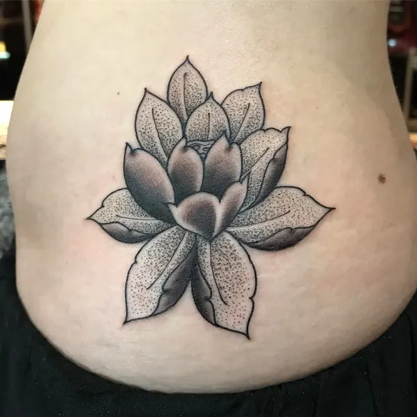 Flower, 연꽃, 한국 연꽃