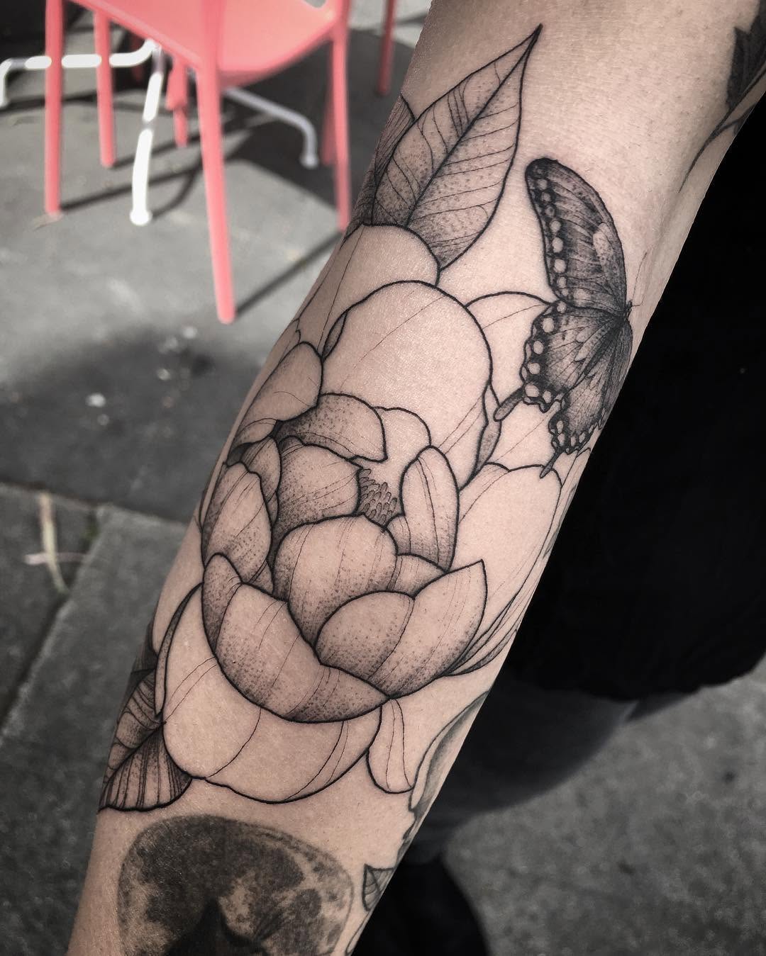 Flower, Rose, Animal, Nature
