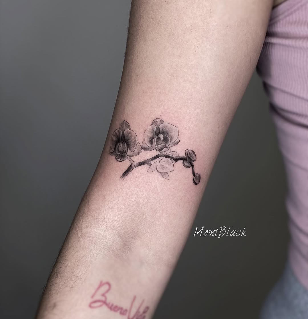 Flower, 덩굴, 바람, 나뭇가지
