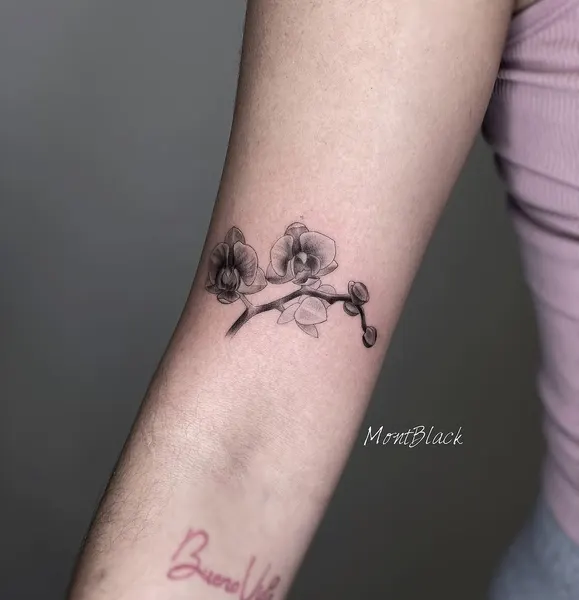 Flower, 덩굴, 바람, 나뭇가지