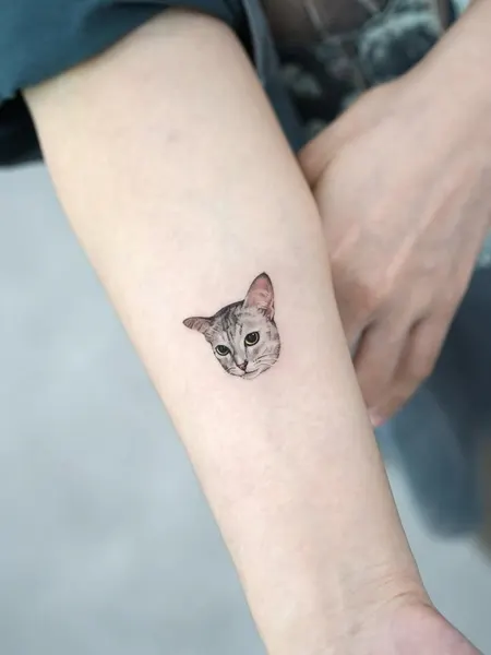 고양이, 여우 가면