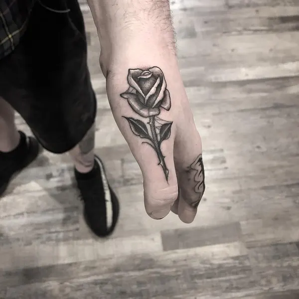Flower, Rose, Nature