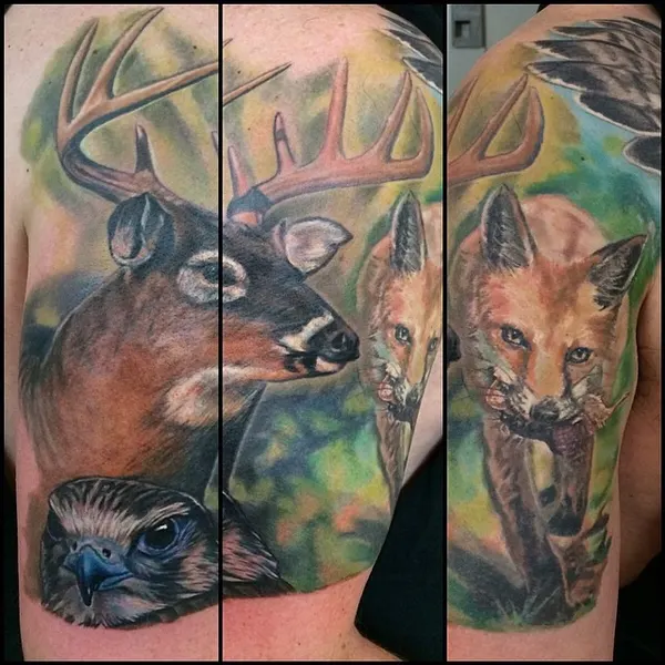Animal, 사슴